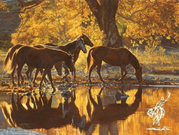 Tim Cox Autumn's Amber Glow